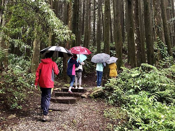 登山突遇下雨總不能撐傘吧...