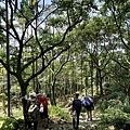 步道1K岔路取左下山