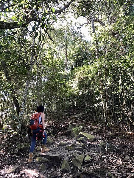 白毛山登山步道續行