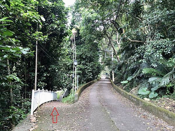 防汛道路返回白鹿吊橋