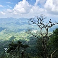 梅龍步道風景