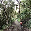 梅龍步道產業道路