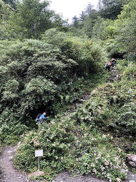 進涇橋登山口（0K，H2400m）