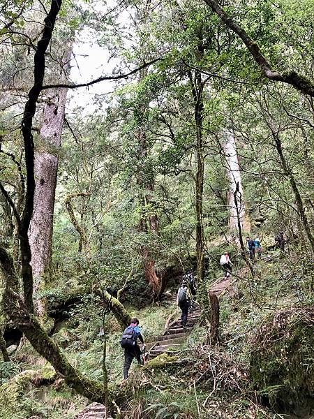 庫哈諾辛山登山步道風景