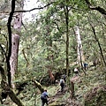 庫哈諾辛山登山步道風景