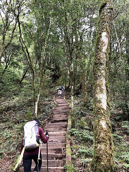 開始步道階梯