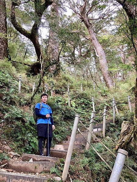 庫哈諾辛山登山步道