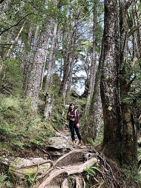 庫哈諾辛山登山步道