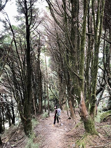 步道陡下山徑下鞍部