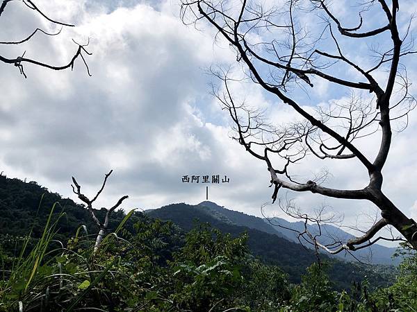 產業道路眺望西阿里關山