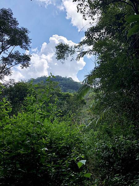 稜線步道看西阿里關山