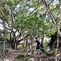 抵達西阿里關山