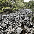 品田步道0.1K池有山石瀑