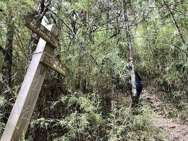 品田步道0.3K池有山登山口