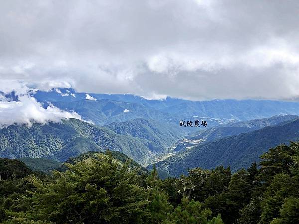 池有山往南眺望風景