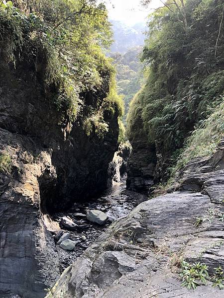 溫泉溪杜鵑谷「一線天」