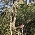 波津加山登山步道