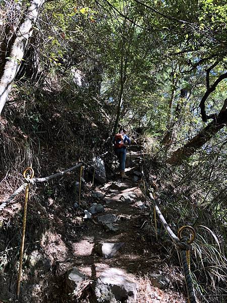 波津加山步道繩欄