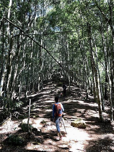 續行波津加山方向