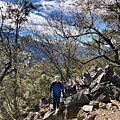 波津加山步道攀爬