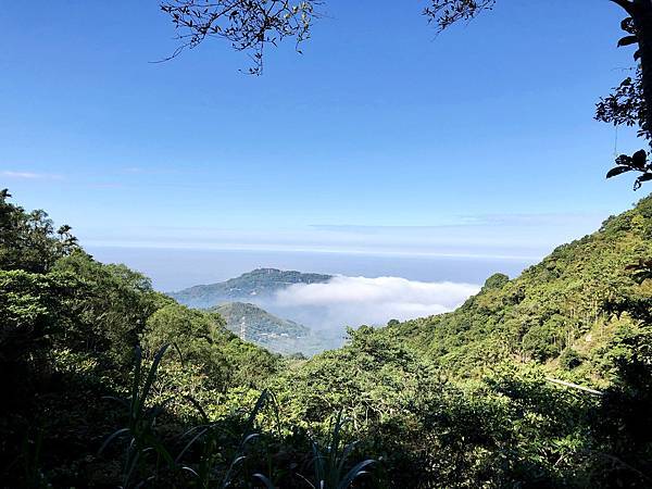 步道遇展望風景