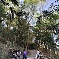 雞籠山登山步道