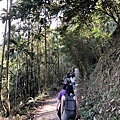 雞籠山登山步道