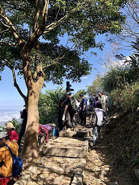 進入山頂環線步道