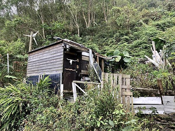 瑪家產業林道「馬告咖啡」