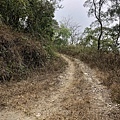 「邀繞山路」續行