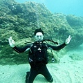 萬里桐珊瑚礁岩留影