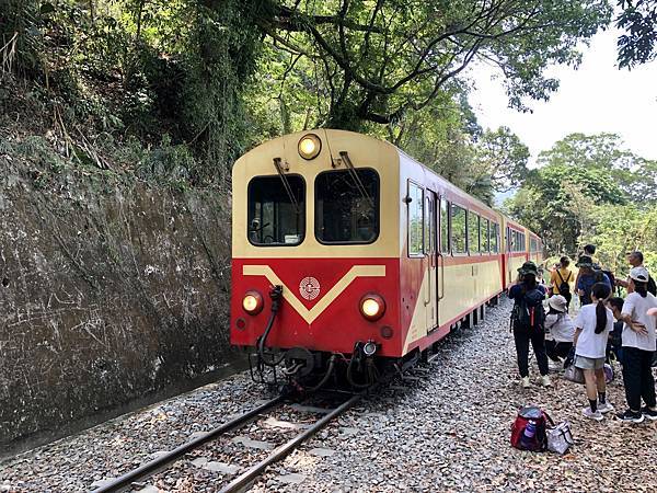 獨立山步道遇見阿里山小火車