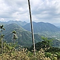 阿拔泉山稜線步道展望風景