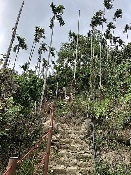 稜線步道陡下