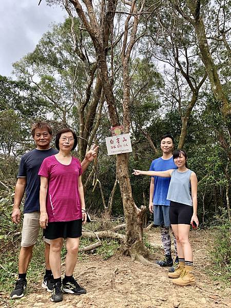 白賓山後山登山口輕鬆爬 白賓山後山登山口輕鬆爬