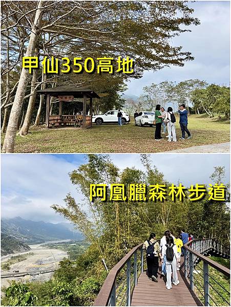 甲仙蛇年走春新景點 甲仙蛇年走春新景點