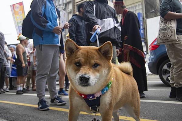 台南彩虹遊行NLGBT07:240309