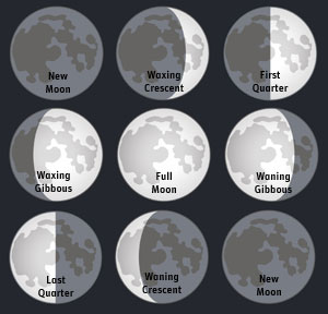 moon-phases-3x3-lbl.jpg