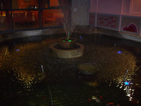 IMGP2746.JPG