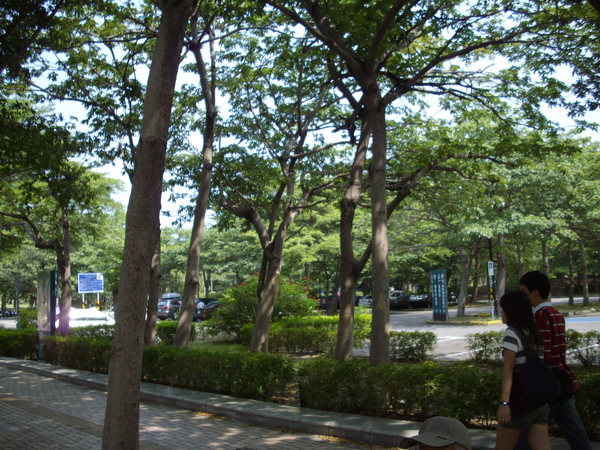 IMGP2776.JPG