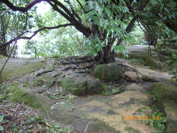 raw-image