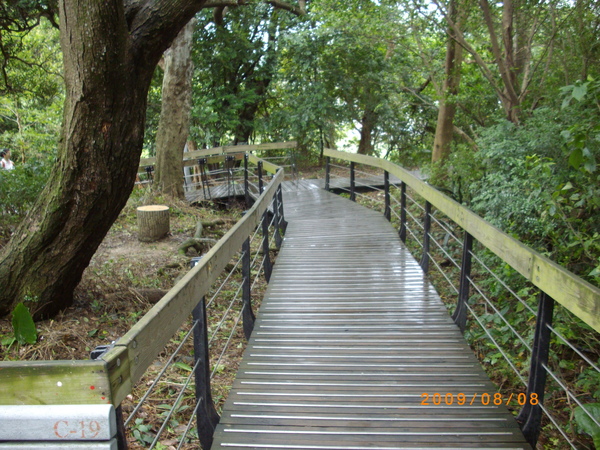 IMGP3925.JPG