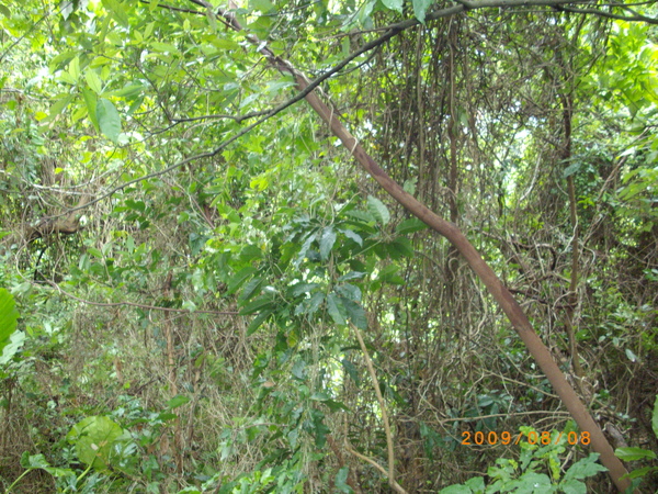 IMGP3929.JPG