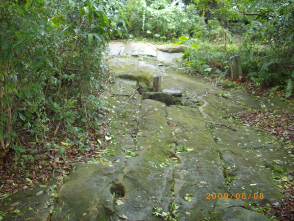 IMGP3930.JPG