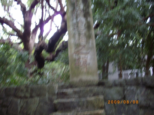 raw-image