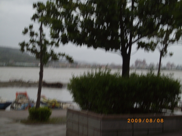 IMGP3944.JPG