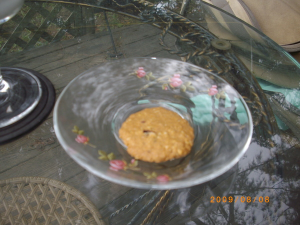 IMGP3977.JPG