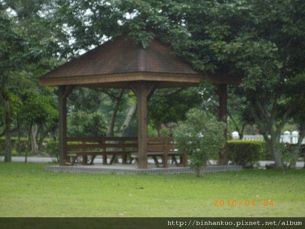 IMGP8423.JPG