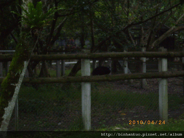 IMGP8427.JPG