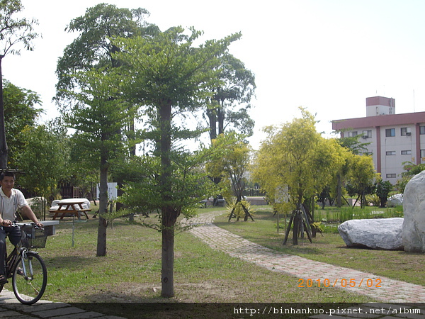 IMGP8625.JPG